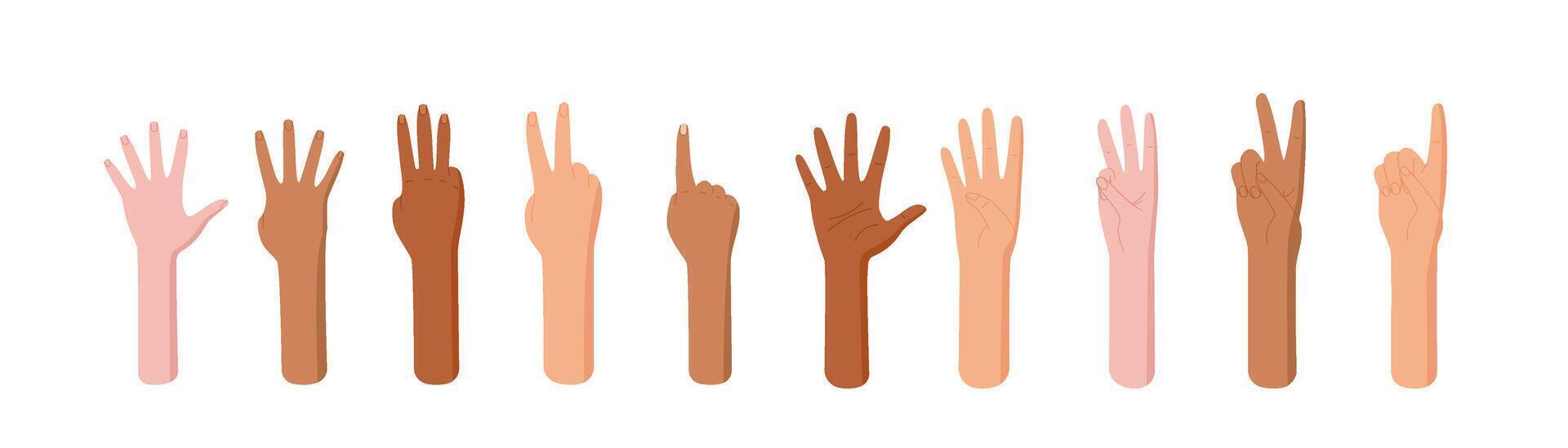 Cartoon hand count gestures in a flat style set. Various finger and palm positions ideal for counting numbers. Includes diverse bare arm and kid gestures. Great for educational use preschool child vector