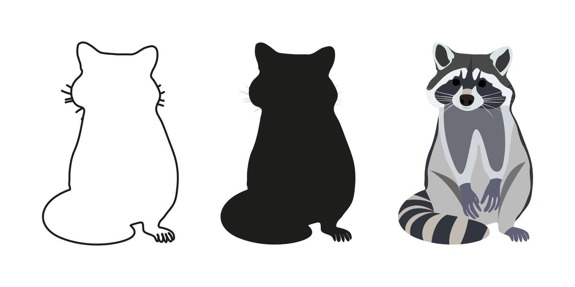 Realistic wild Raccoon on a white background vector