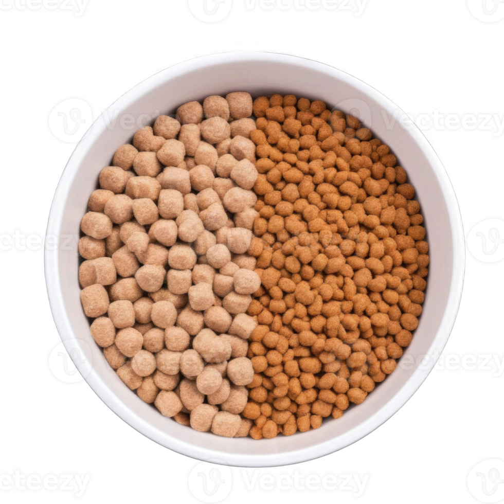 Premium dry pet food in feeding bowl png