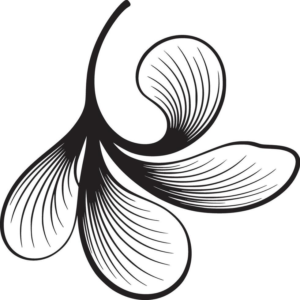 A black and white drawing of a stylized seed pod with three lobes and a curved stem on white background vector
