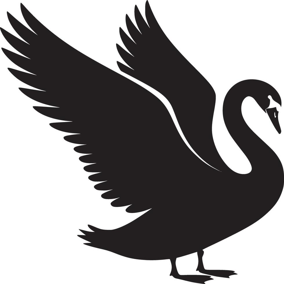 Black swan with wings outstretched standing on its feet in a stylized silhouette illustration vector