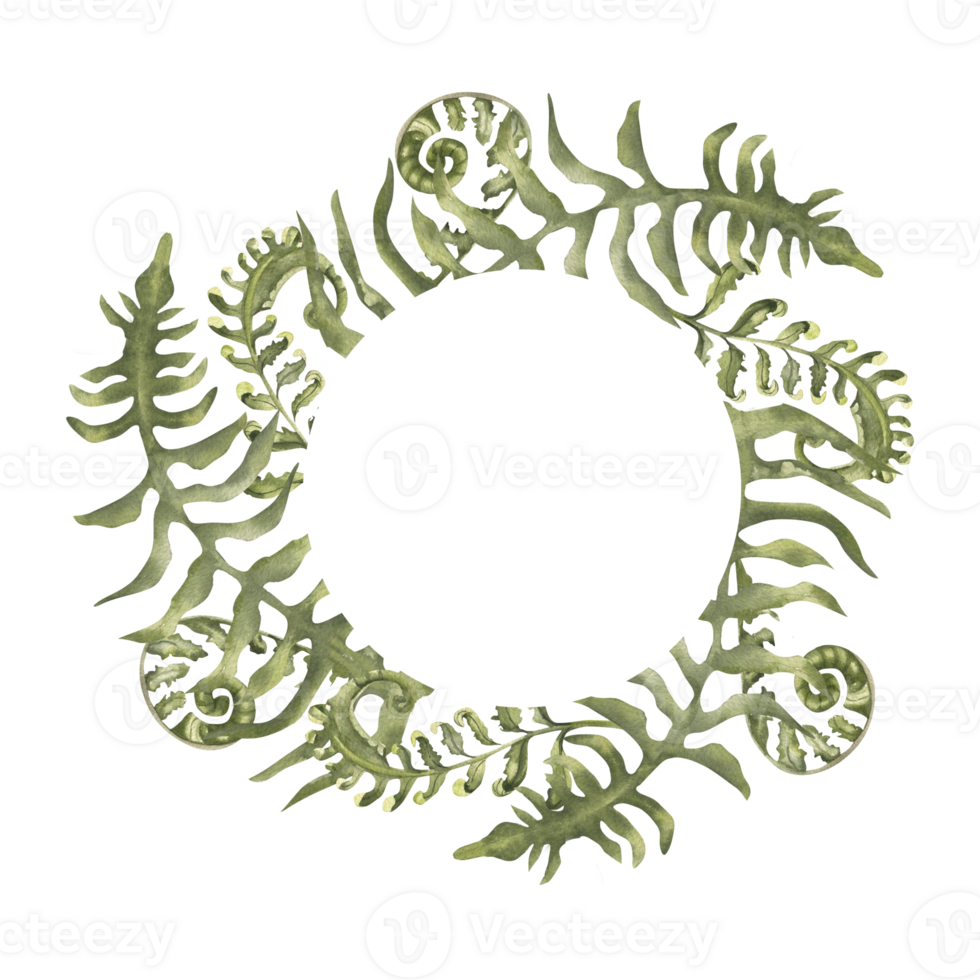 Green floral round banner template with forest fern branches illustration. Hand drawn mystic foliage frame, botanical and nature elements wreath for greeting card, invitation. romantic poster design png