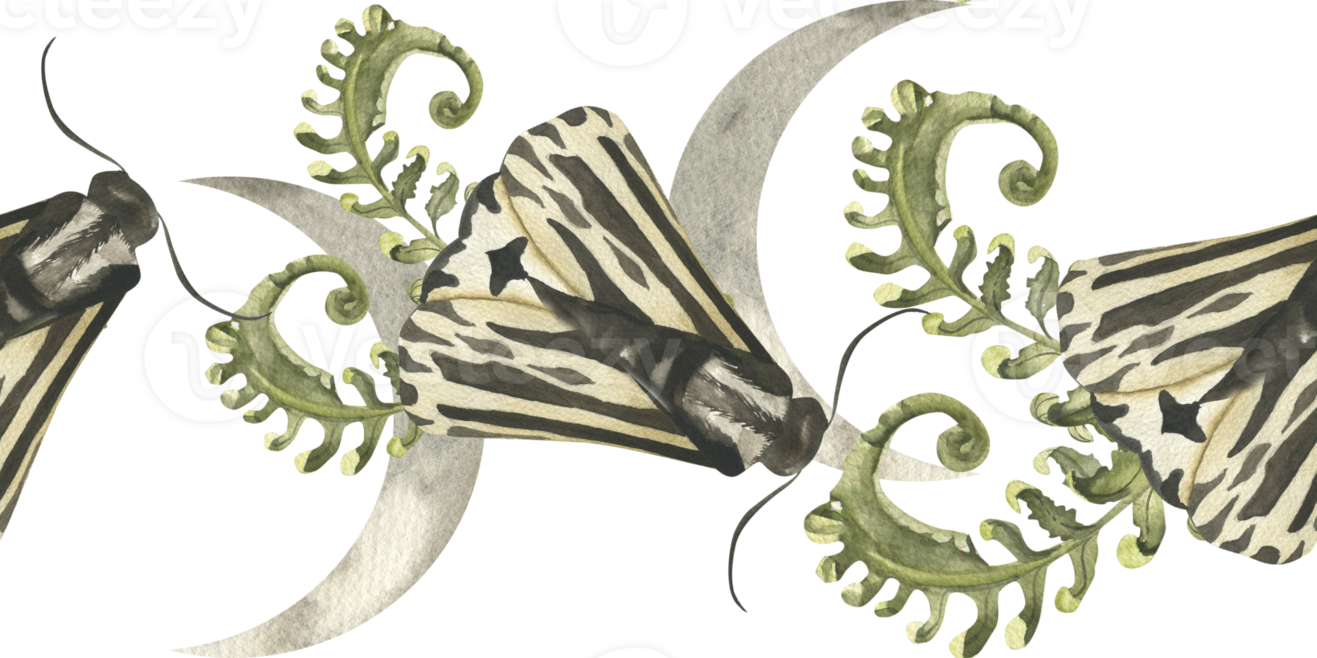 Mystic moon phases crescent with night moth and green fern branches watercolor seamless border. Hand drawn banner with magic butterflies and sky stars for stickers, product packing,paper tape design png