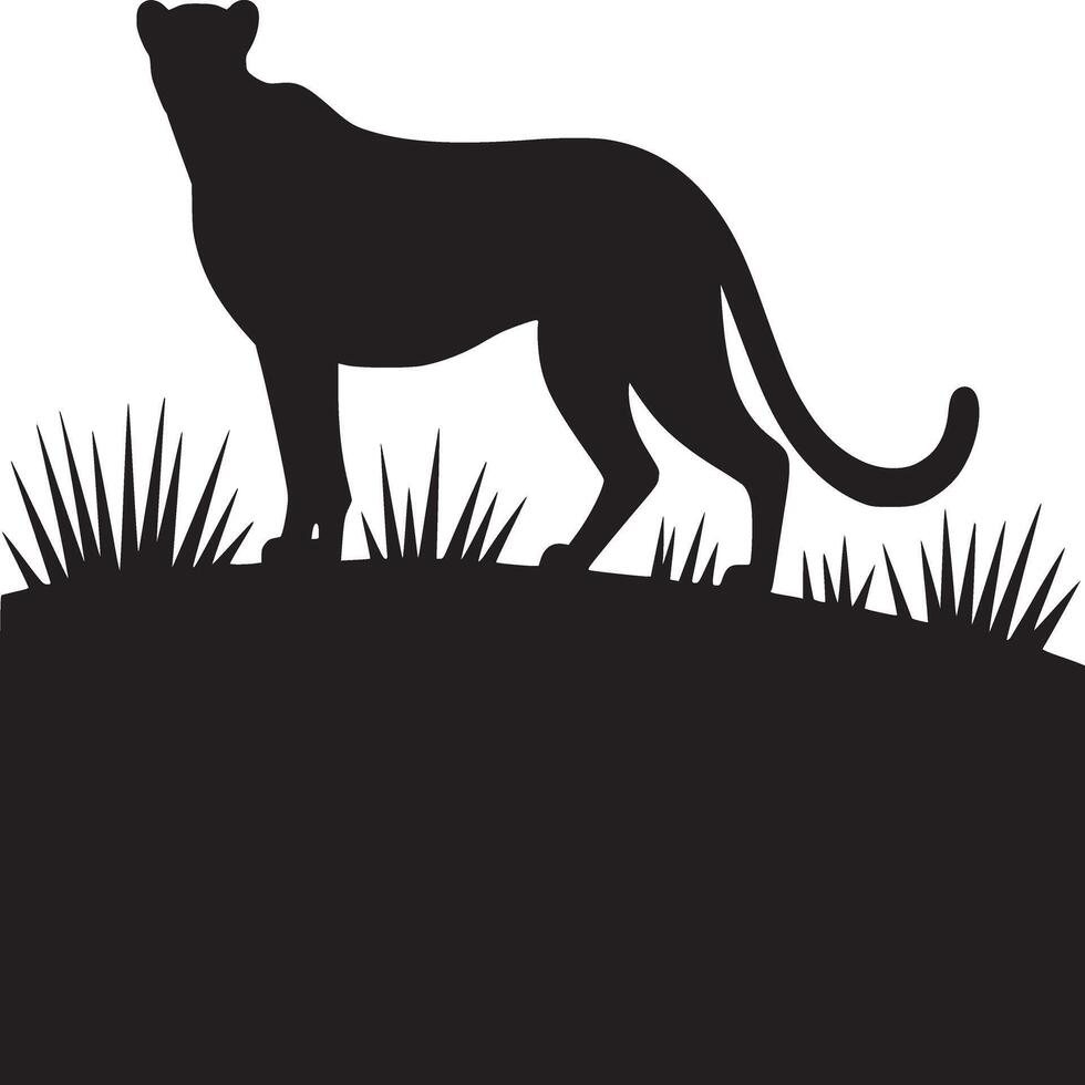 Silhouette of a panther standing in tall grass against a white background in a simple illustration vector