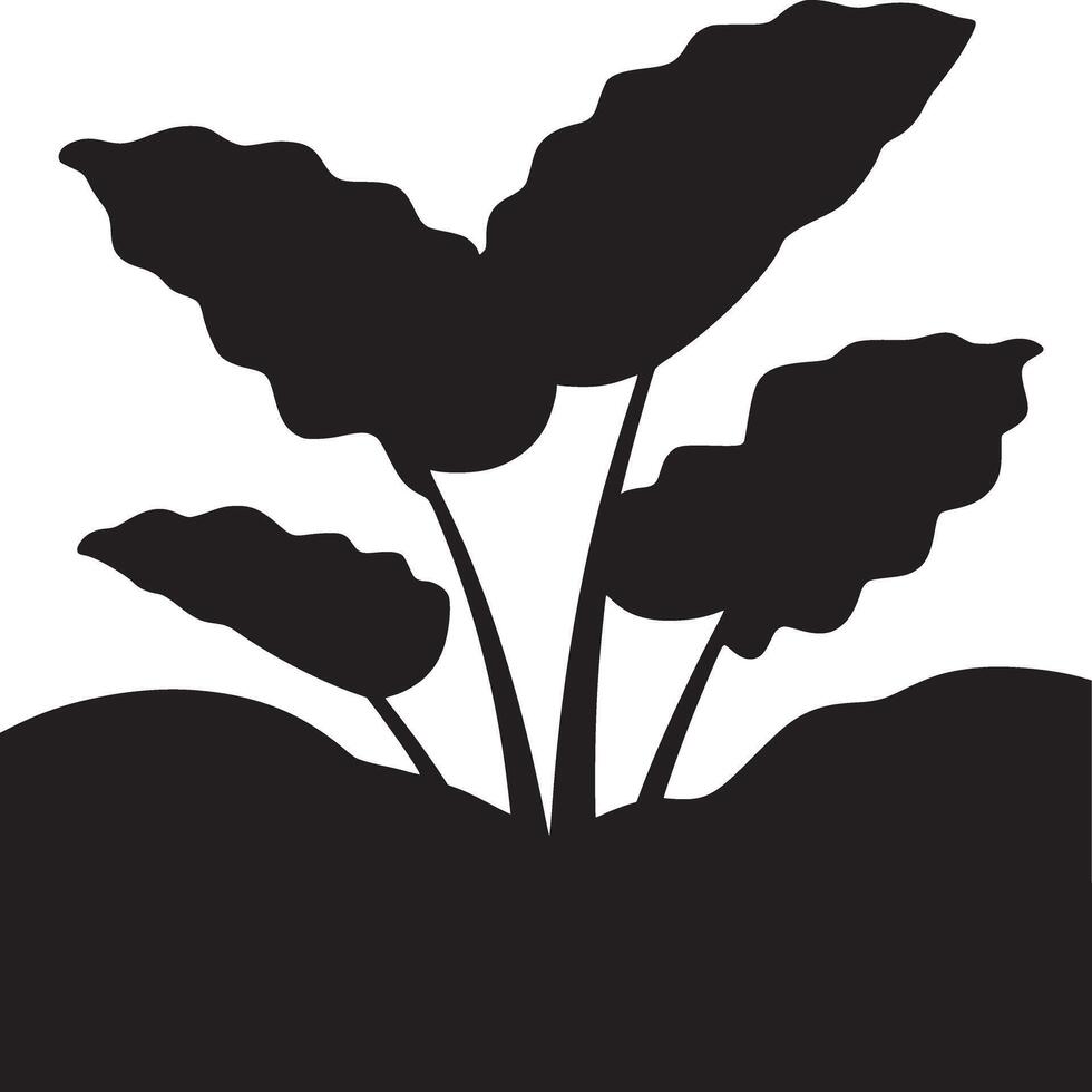 A black silhouette of a plant with large leaves against a white background in a simple illustration vector