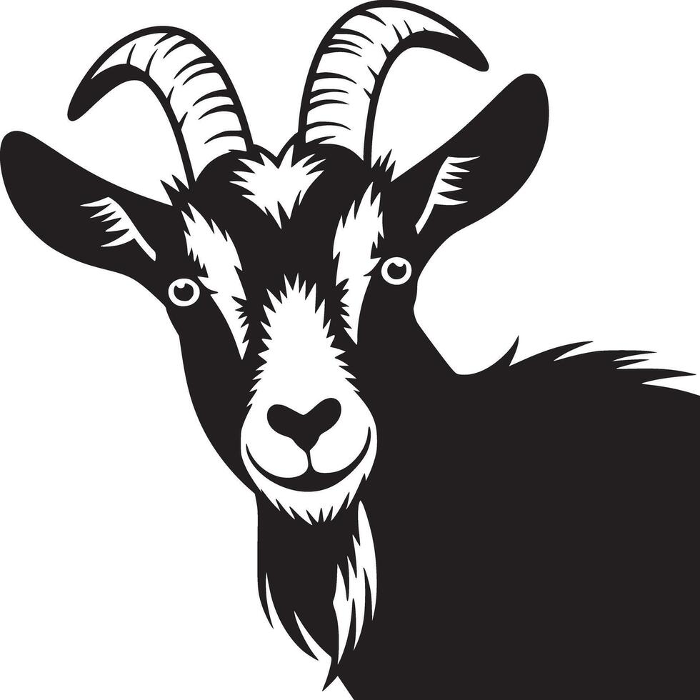 Illustration of a black and white goat with horns on a white background close up portrait view vector