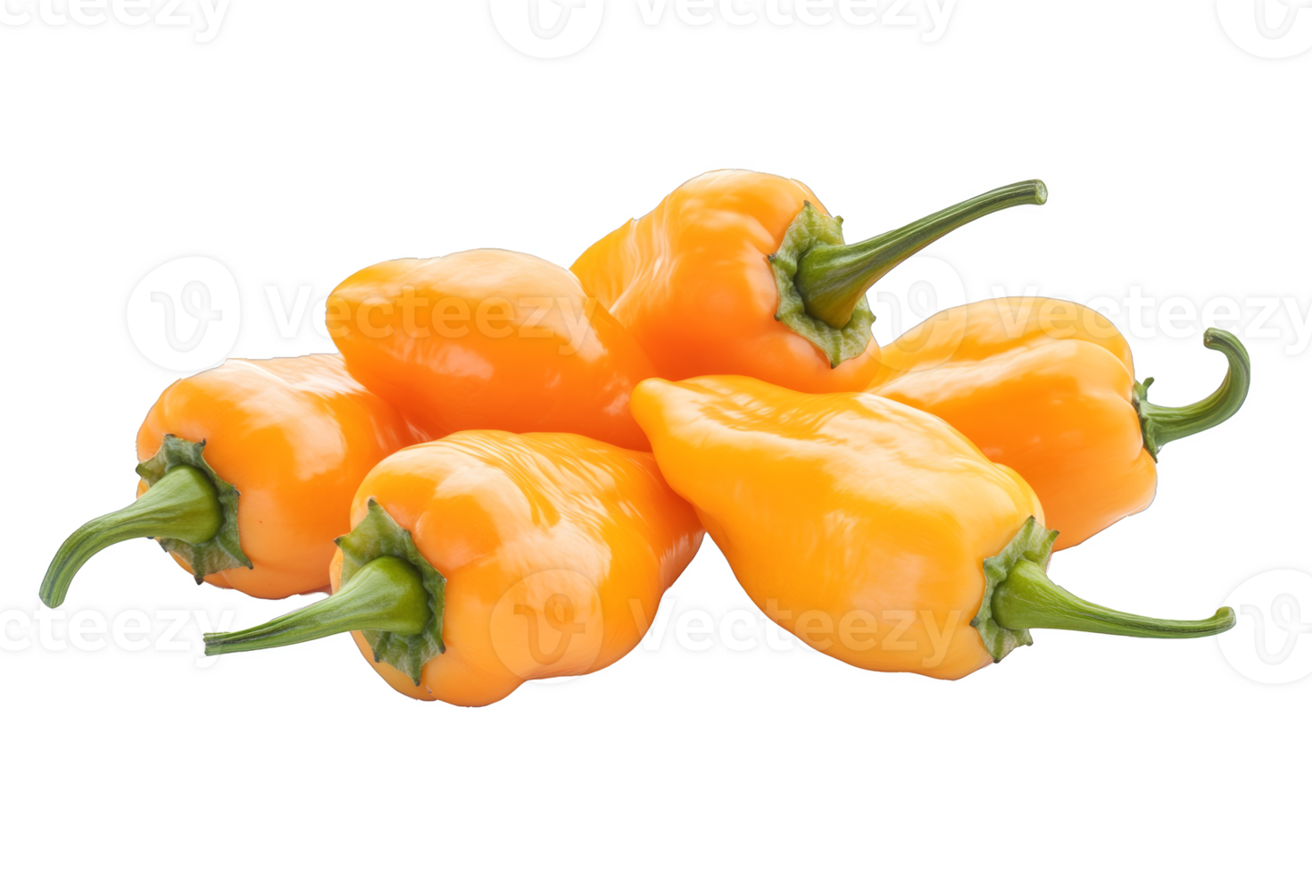 Orange chili peppers on transparent background png