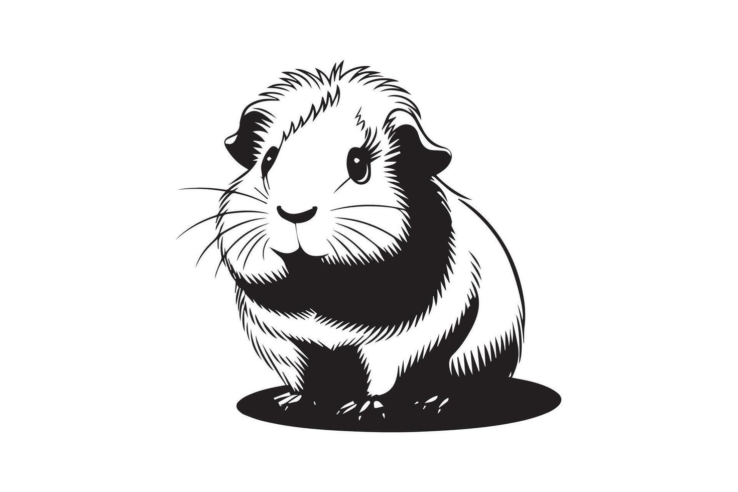 Guinea Pig Drawing vector