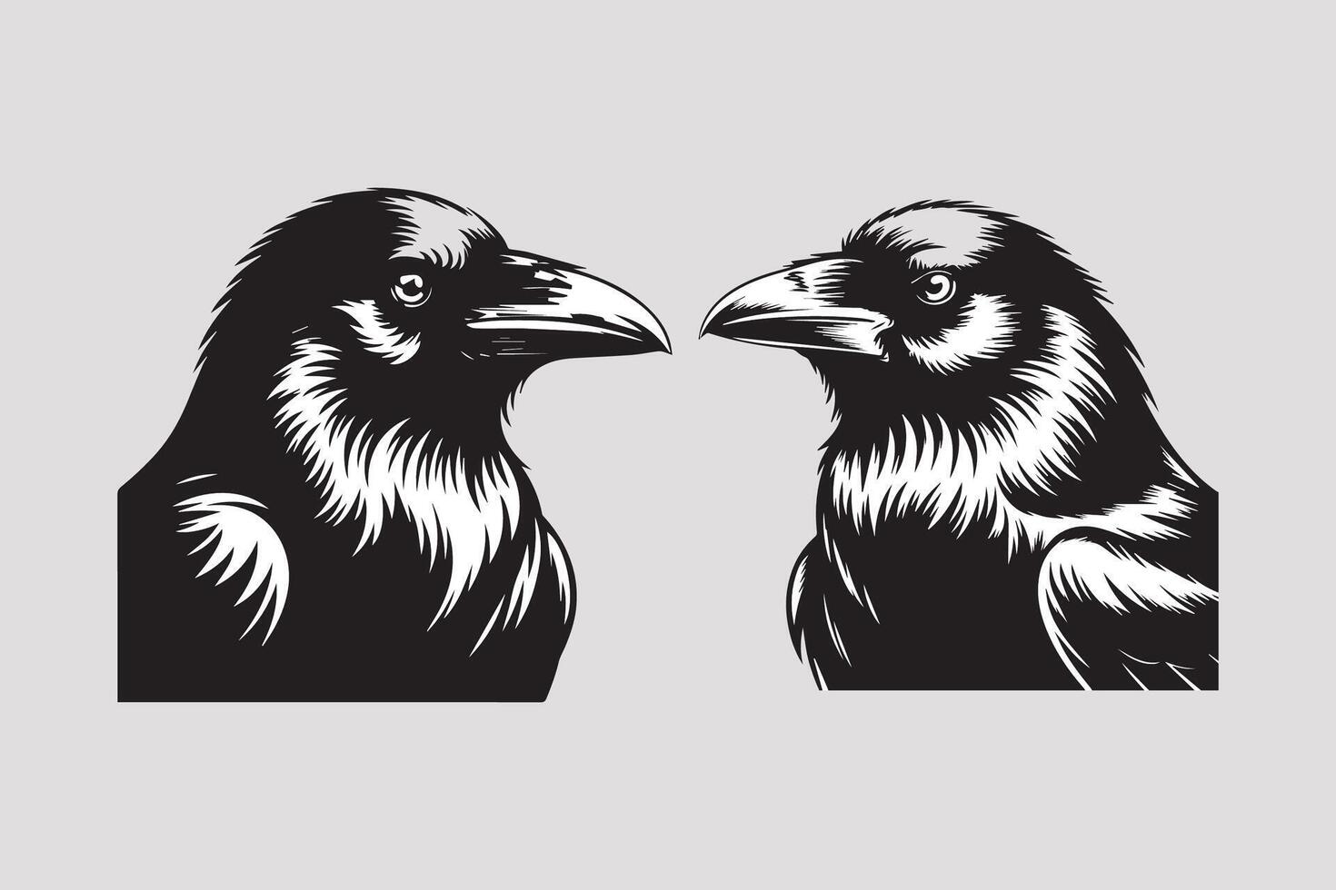 black bird Black and White vector