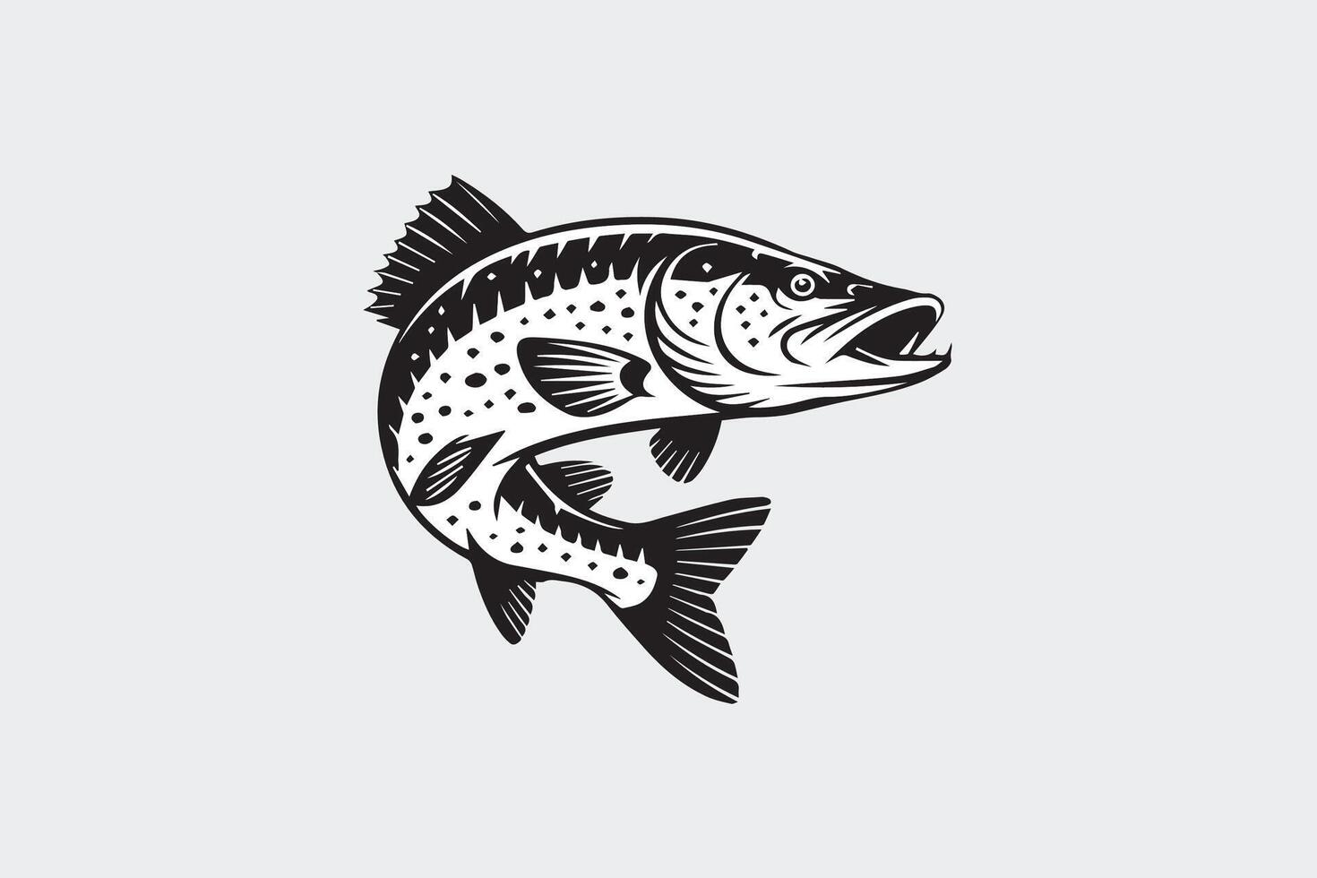 bass fish illustration vector
