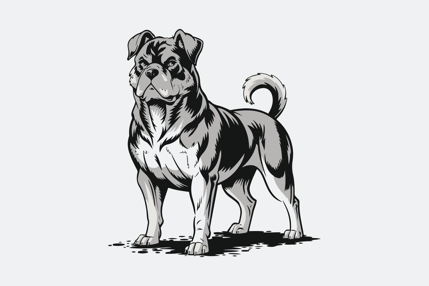 Bull Terrier Black White vector