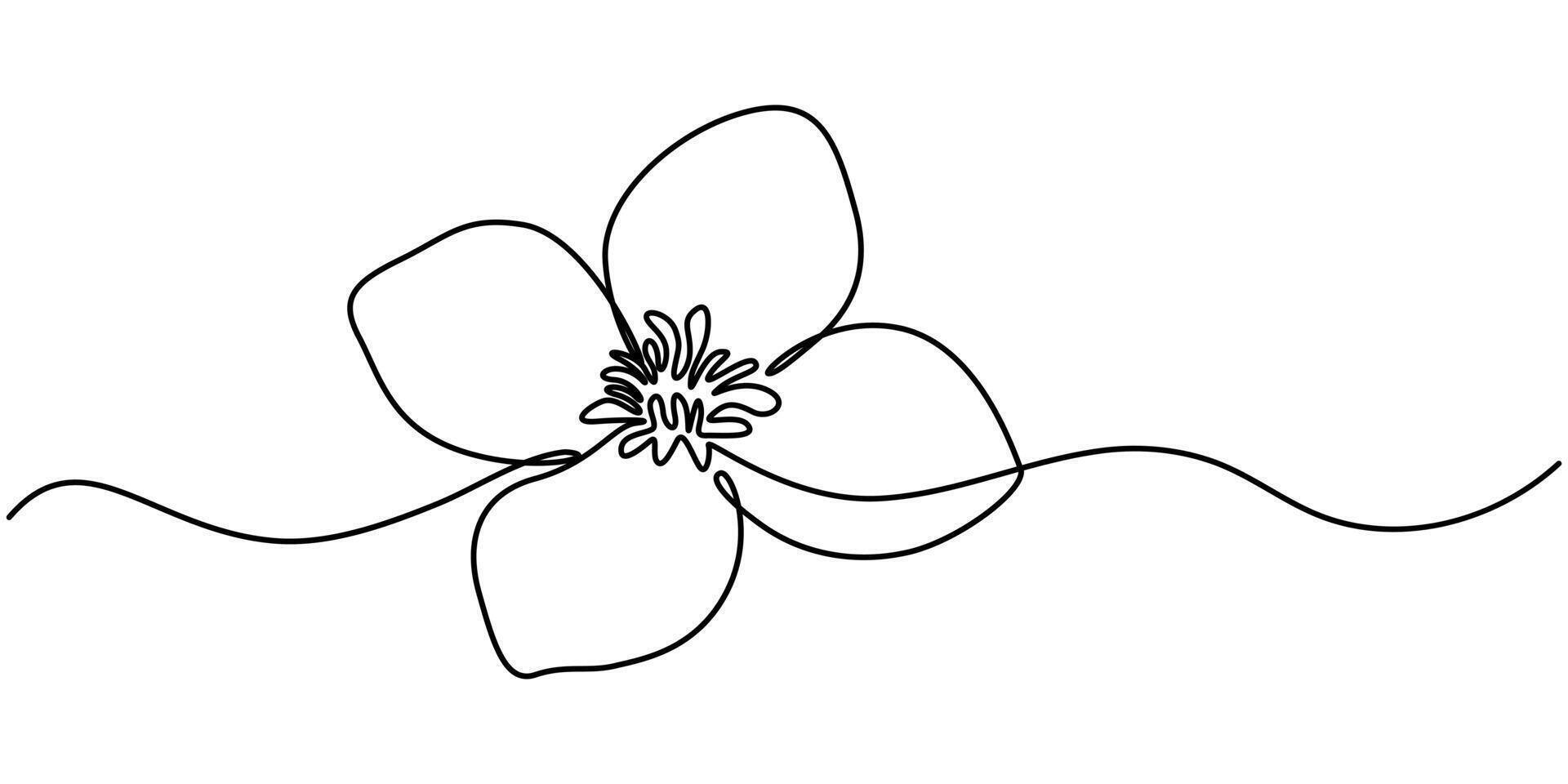 Continuous one line art drawing of beauty jasmine flower, Continuous one line drawing of beauty jasmine flower for garden logo identity. vector