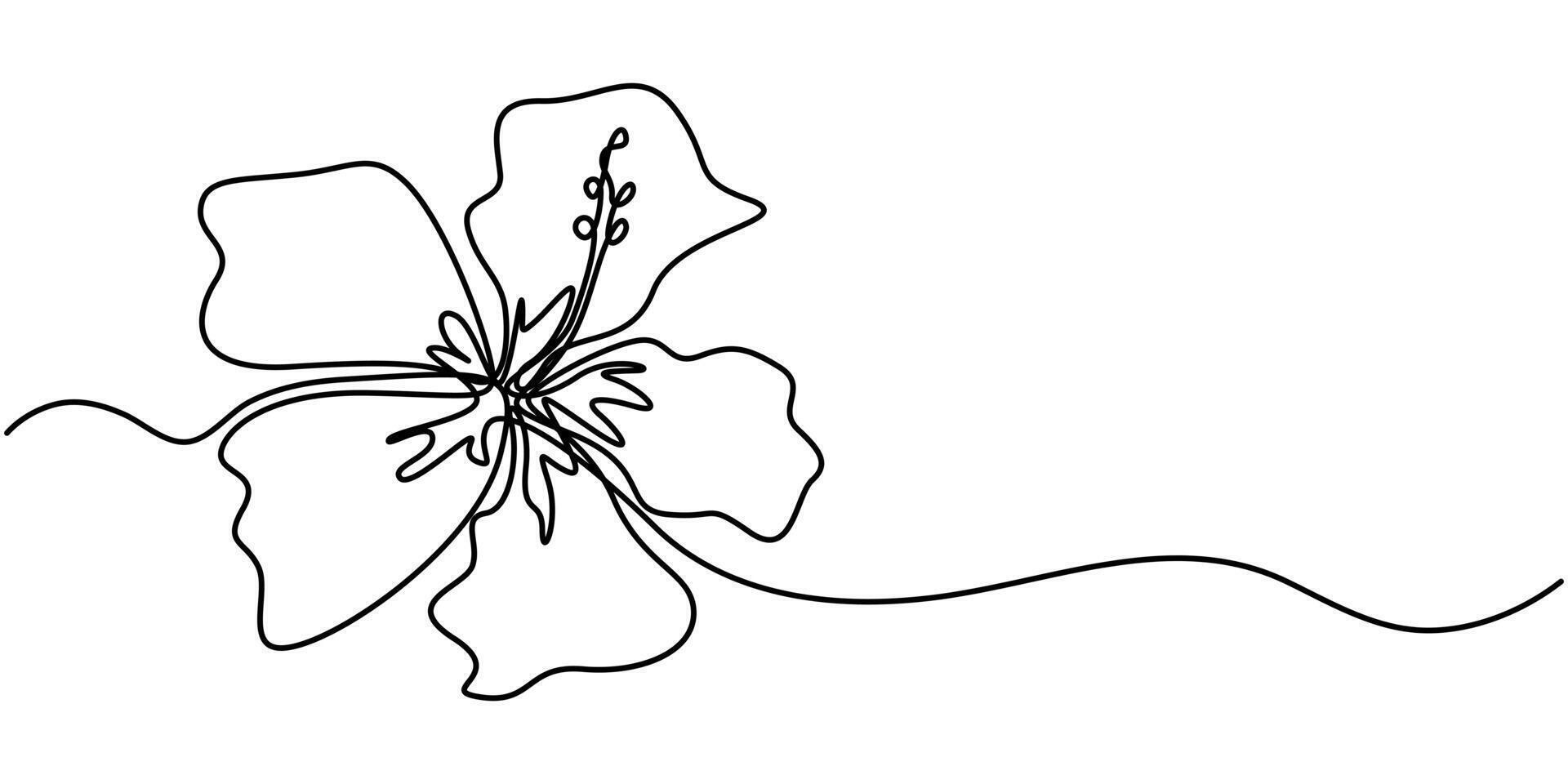 Hibiscus Flower Continuous one Line Drawing vector