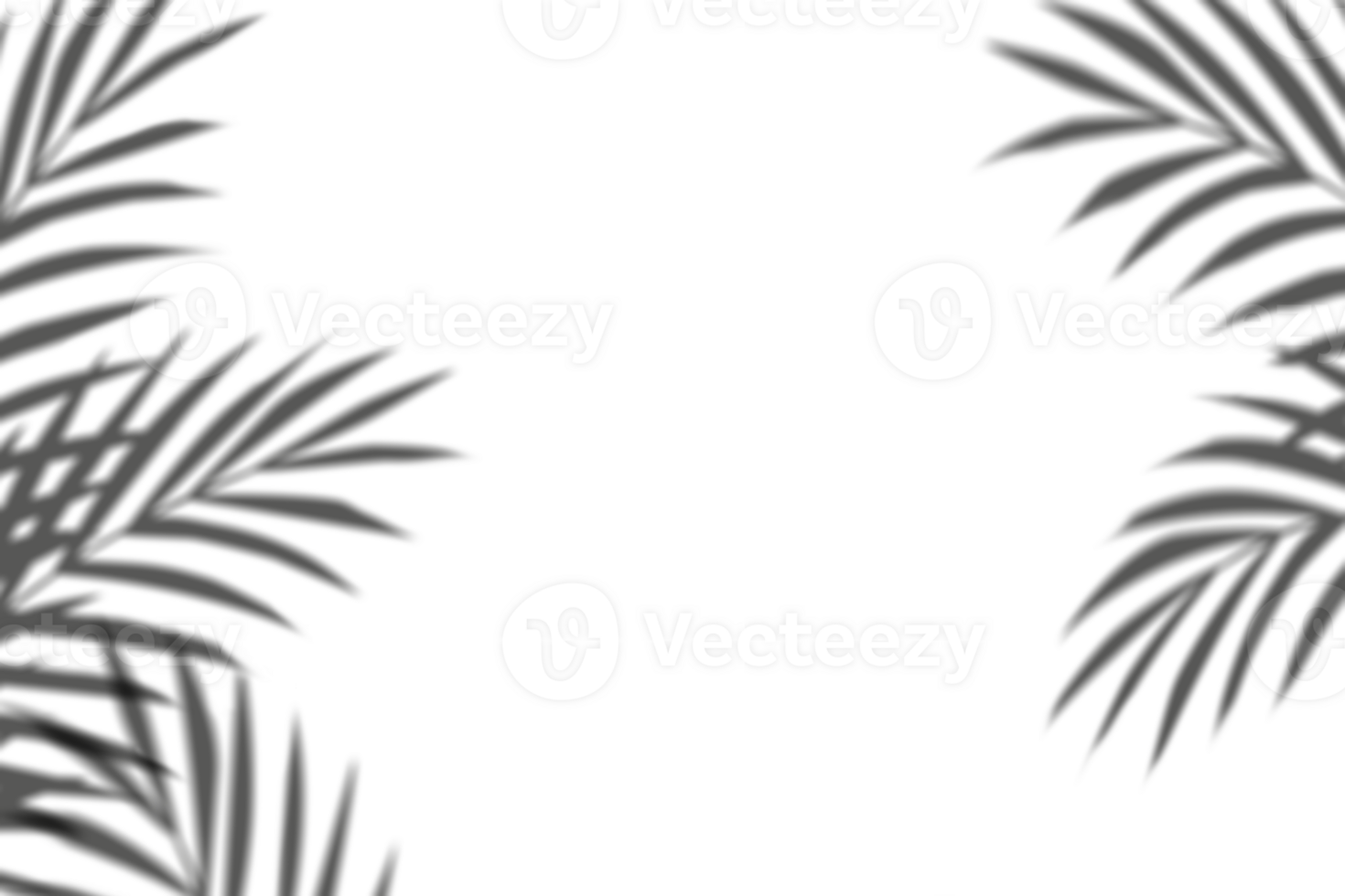 shadow Palm Leaves,Blurry Tropical Coconut Leaf Overlay, Element object for Spring Summer, Mock up Product Presentation png