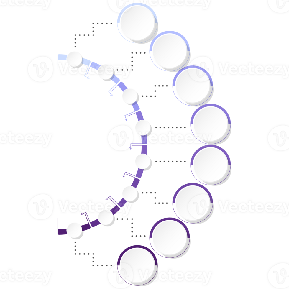 Modern circle infographic template with 8 steps, process or options. png