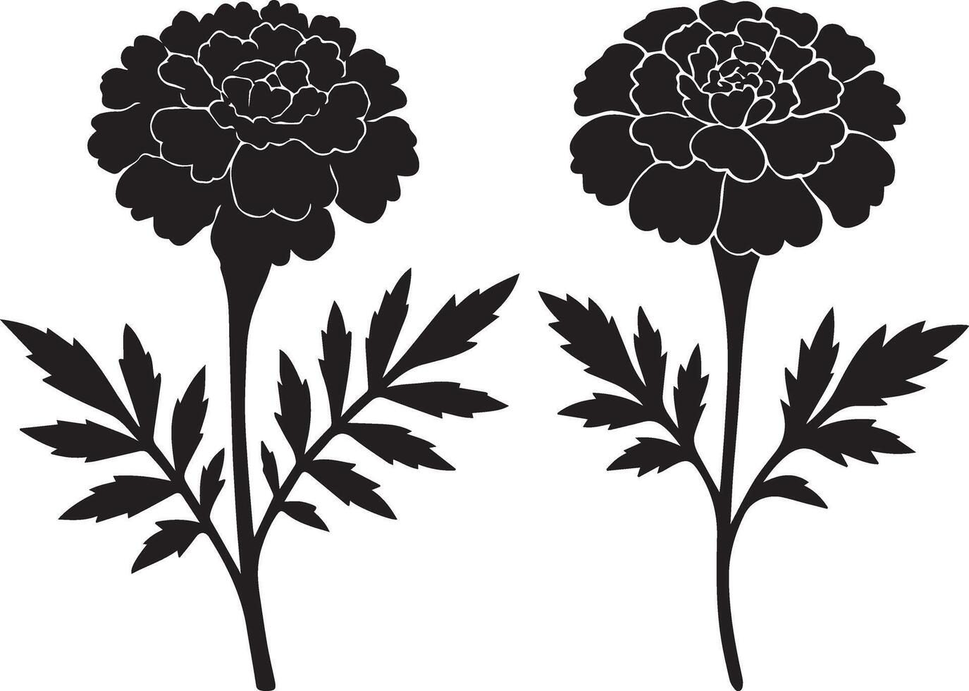 Marigold Flower Silhouette vector