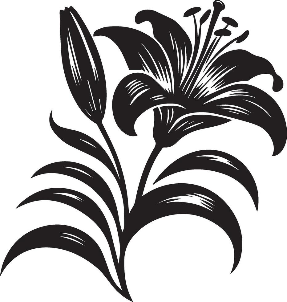 Lily Flower Silhouette Illustration vector