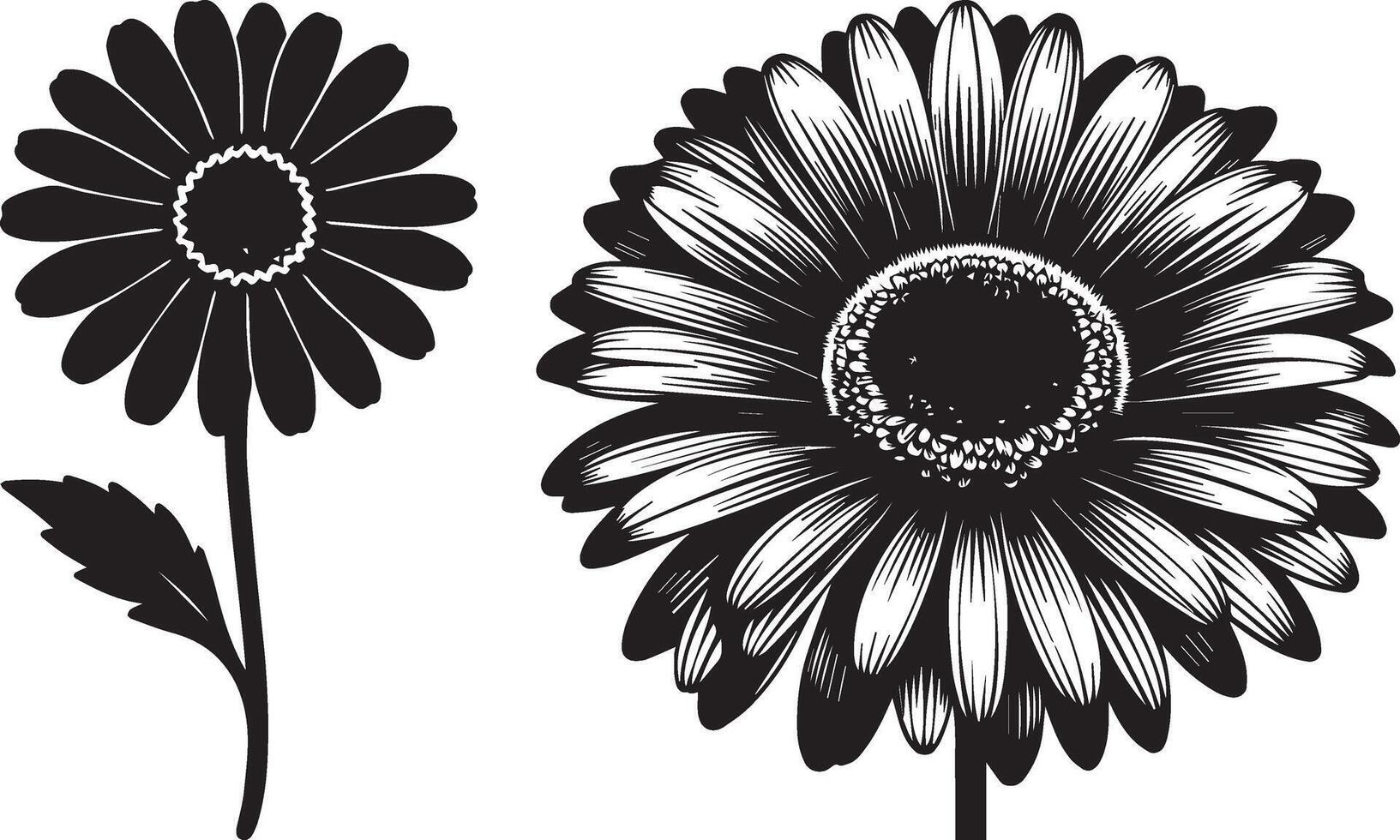 Gerbera Daisy Flower Silhouette Illustration vector
