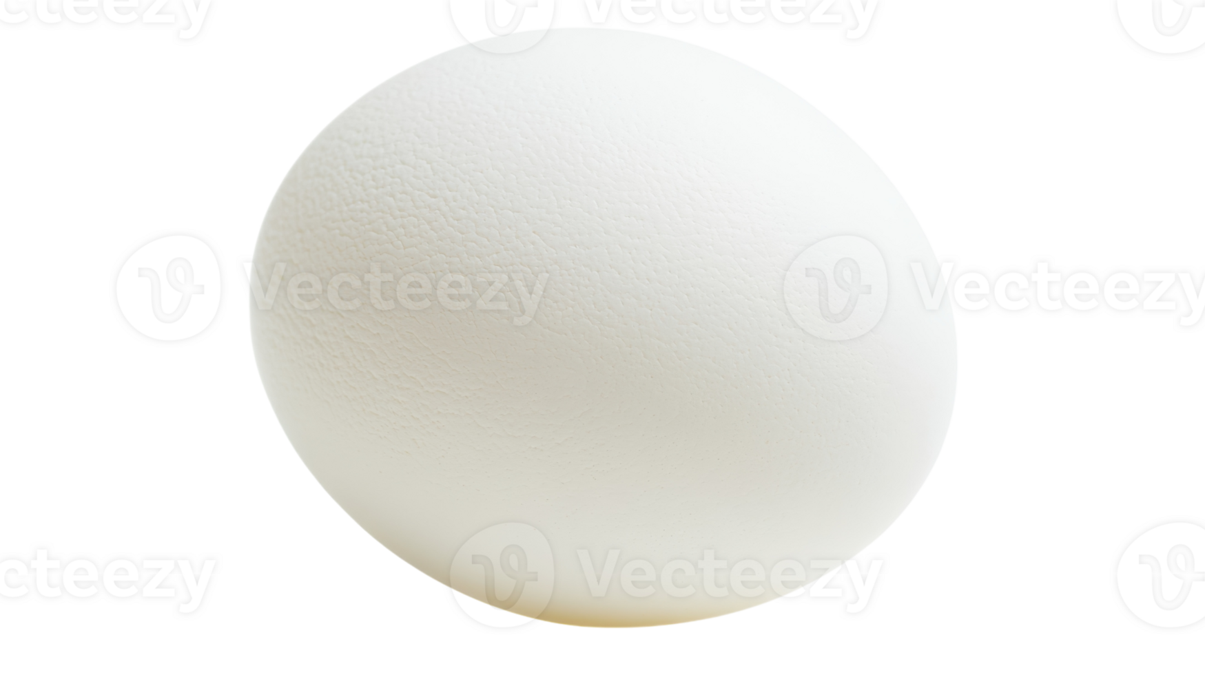 White egg resting on a smooth surface with even lighting and a plain background png
