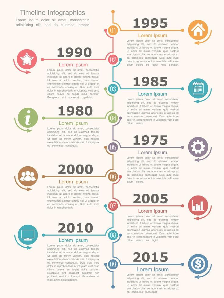 Vertical timeline infographic template vector