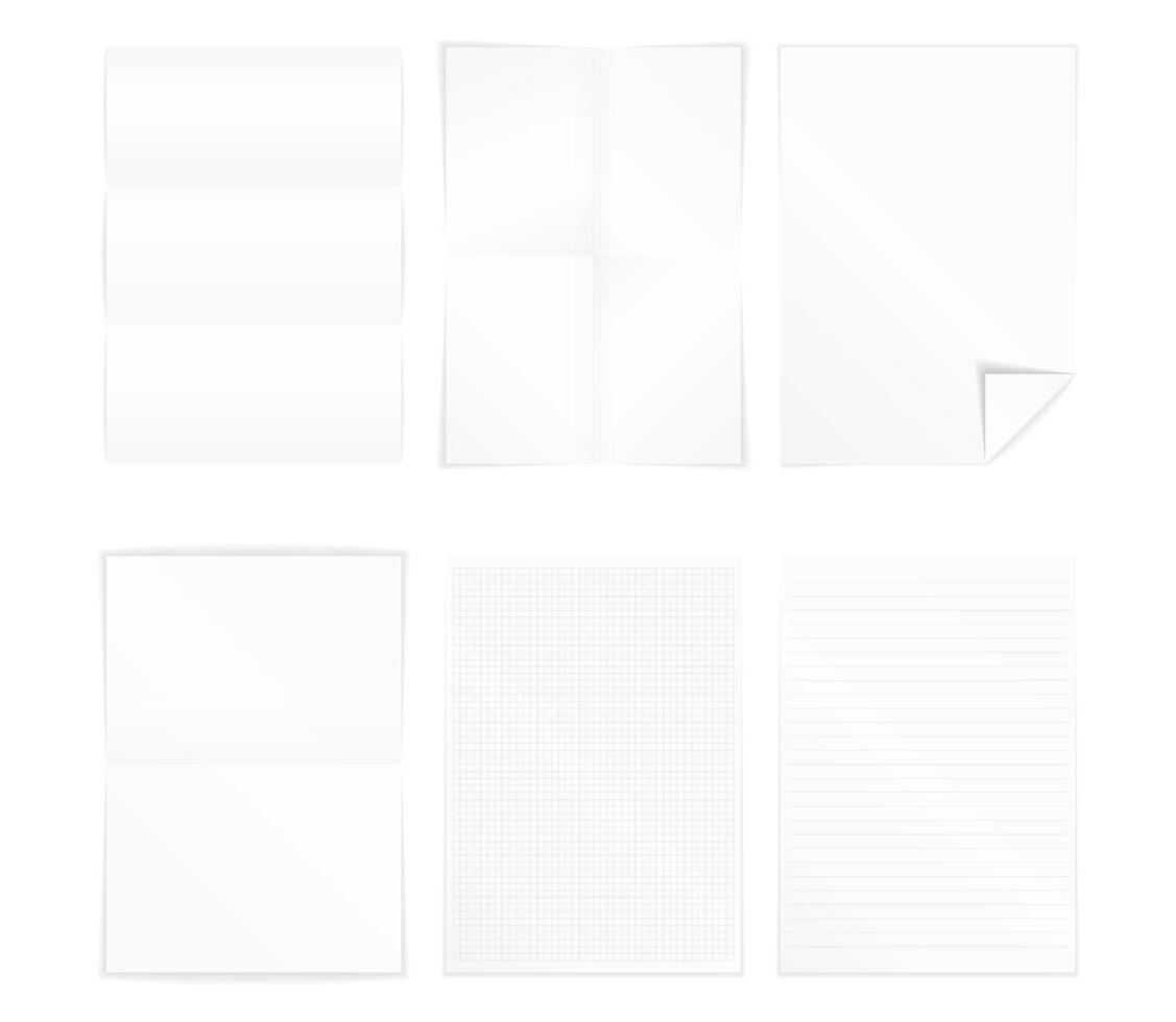 Different A4 format paper vector