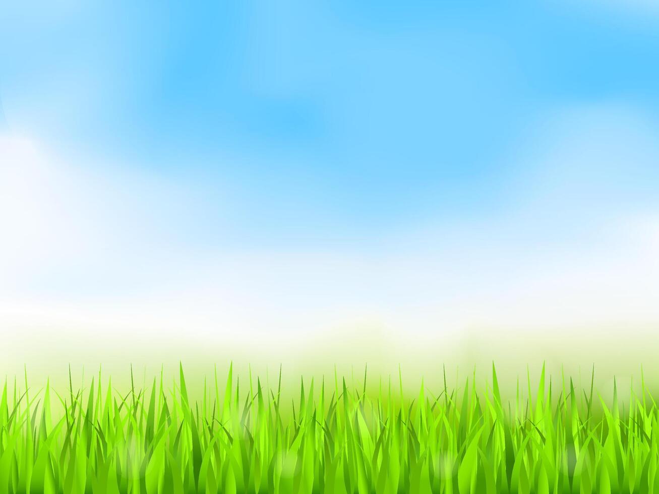 Green grass and blue sky, summer background, gradient mesh vector