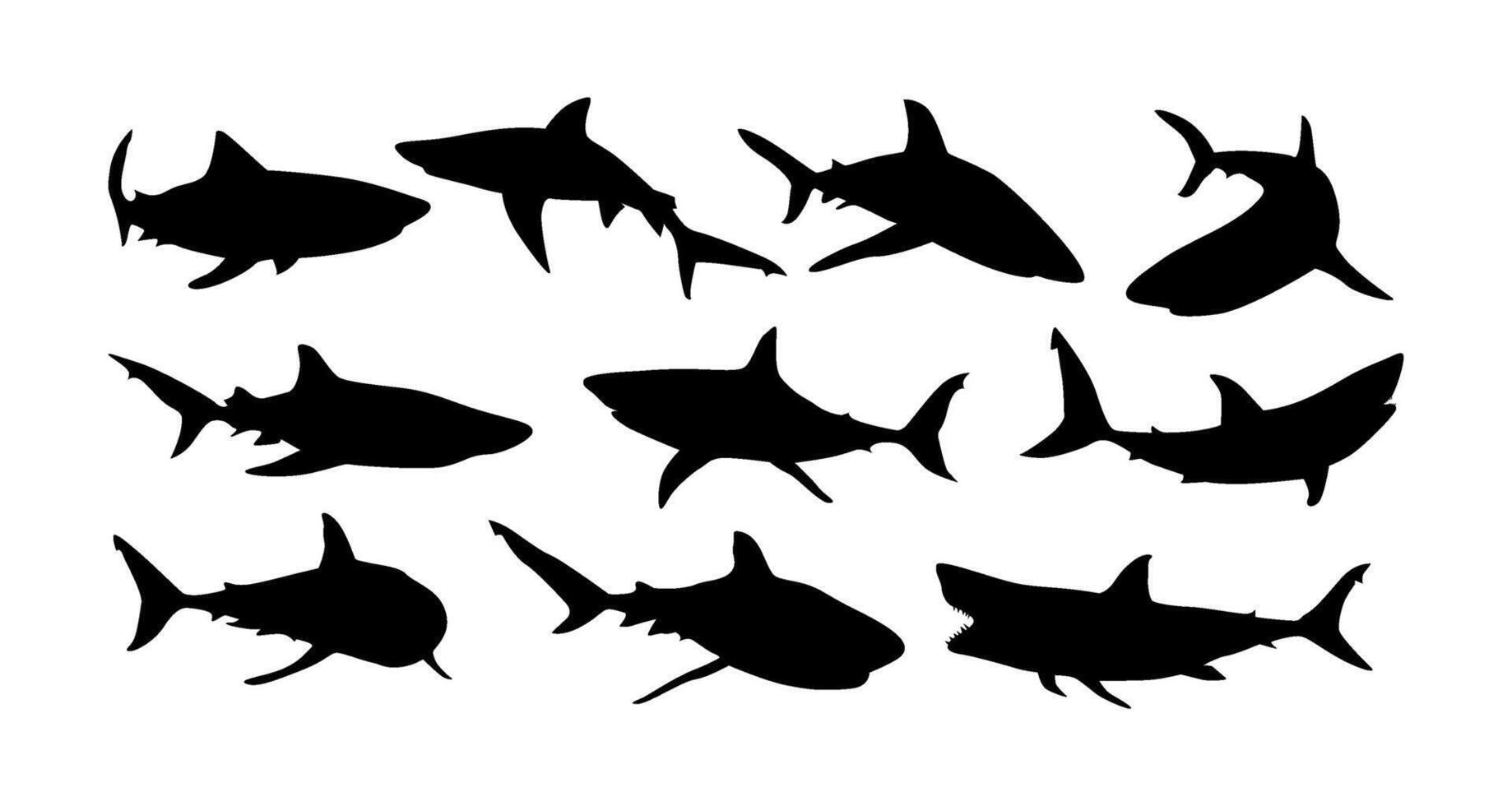 black shark silhouette image collection vector