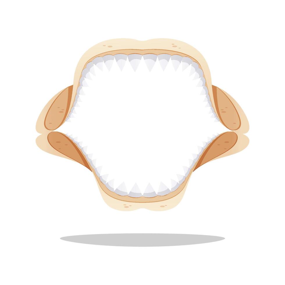 Simple shark jaw skeleton isolated on white background. vector