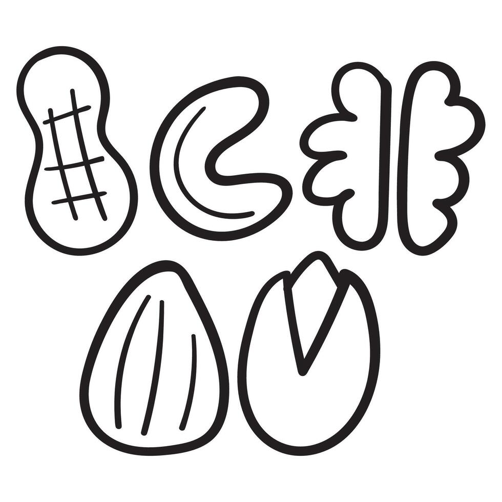 Nuts. Outline isolated icons. Collection. Black color. Hand drawn illustrations. vector