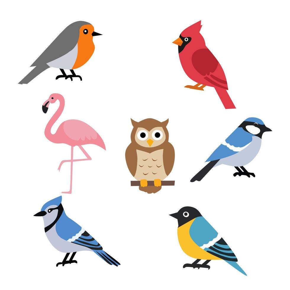 A set of flat design bird illustrations featuring a robin, cardinal, flamingo, owl, blue jay, and other colorful songbirds, perfect for nature or wildlife-themed content vector