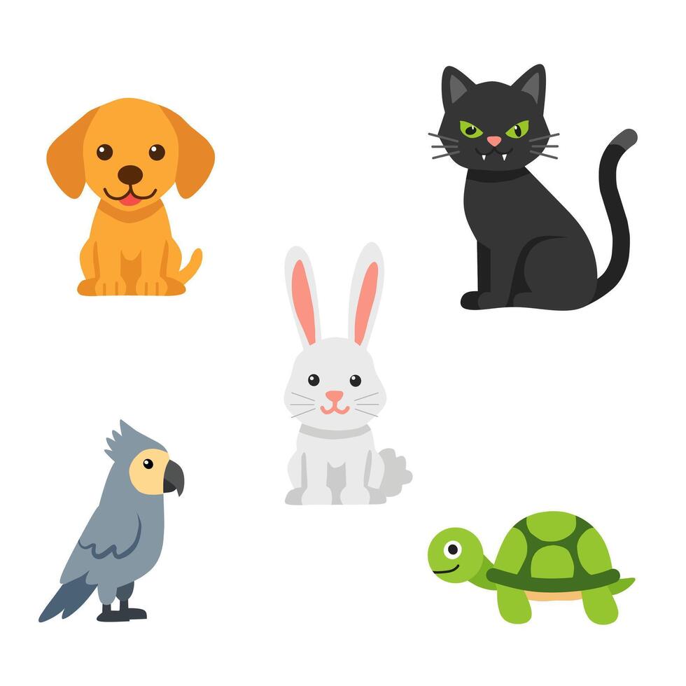 A set of cute pet animal illustrations including a dog, cat, rabbit, parrot, and turtle. Perfect for childrens books, stickers, and educational projects vector