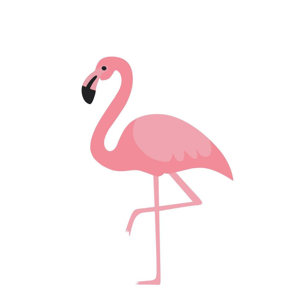 A cute pink flamingo standing on one leg in a minimalist flat design. Perfect for educational, tropical, or summer-themed illustrations vector