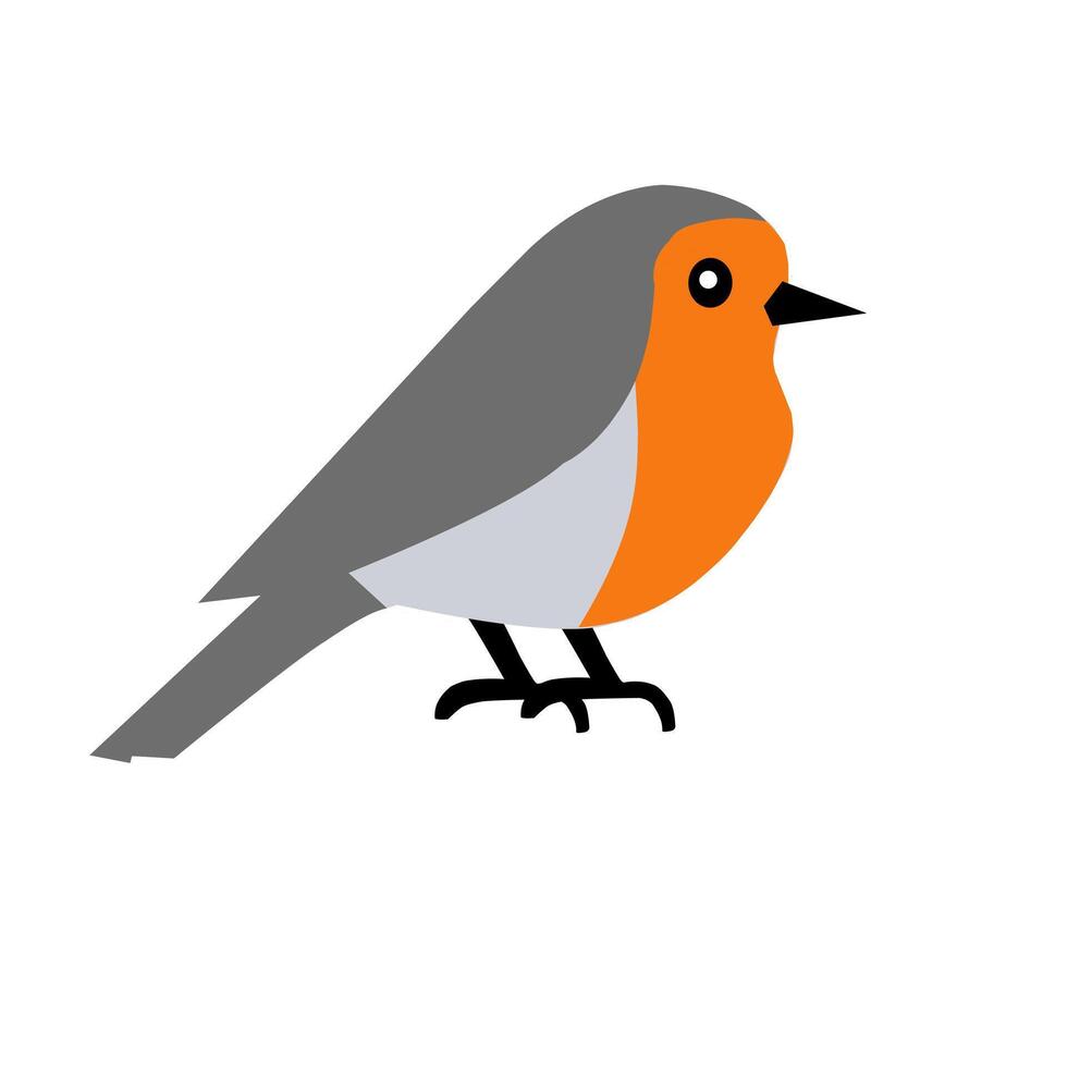 A charming European robin with an orange chest and grey wings. Great for nature themes, educational content, or birdwatching illustrations vector
