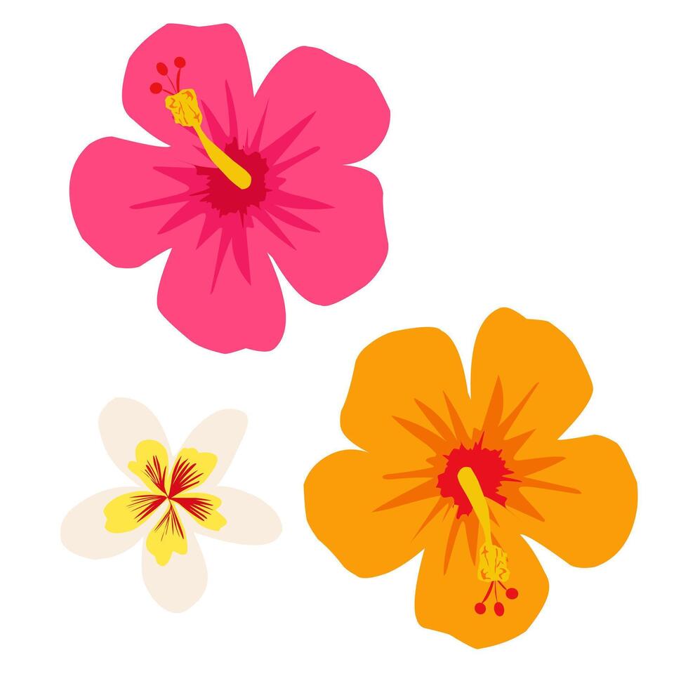 Colorful tropical flowers set. Includes pink and orange hibiscus and white plumeria with yellow center. Perfect for summer, vacation, island, and floral design themes vector