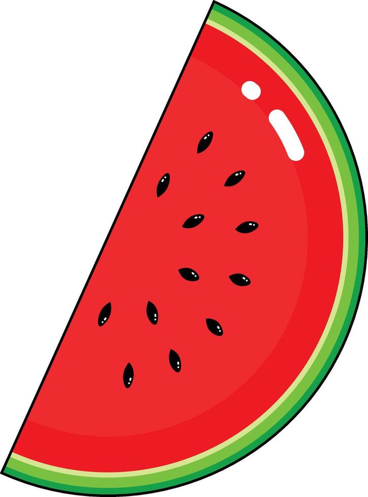 watermelon fruit vectors
