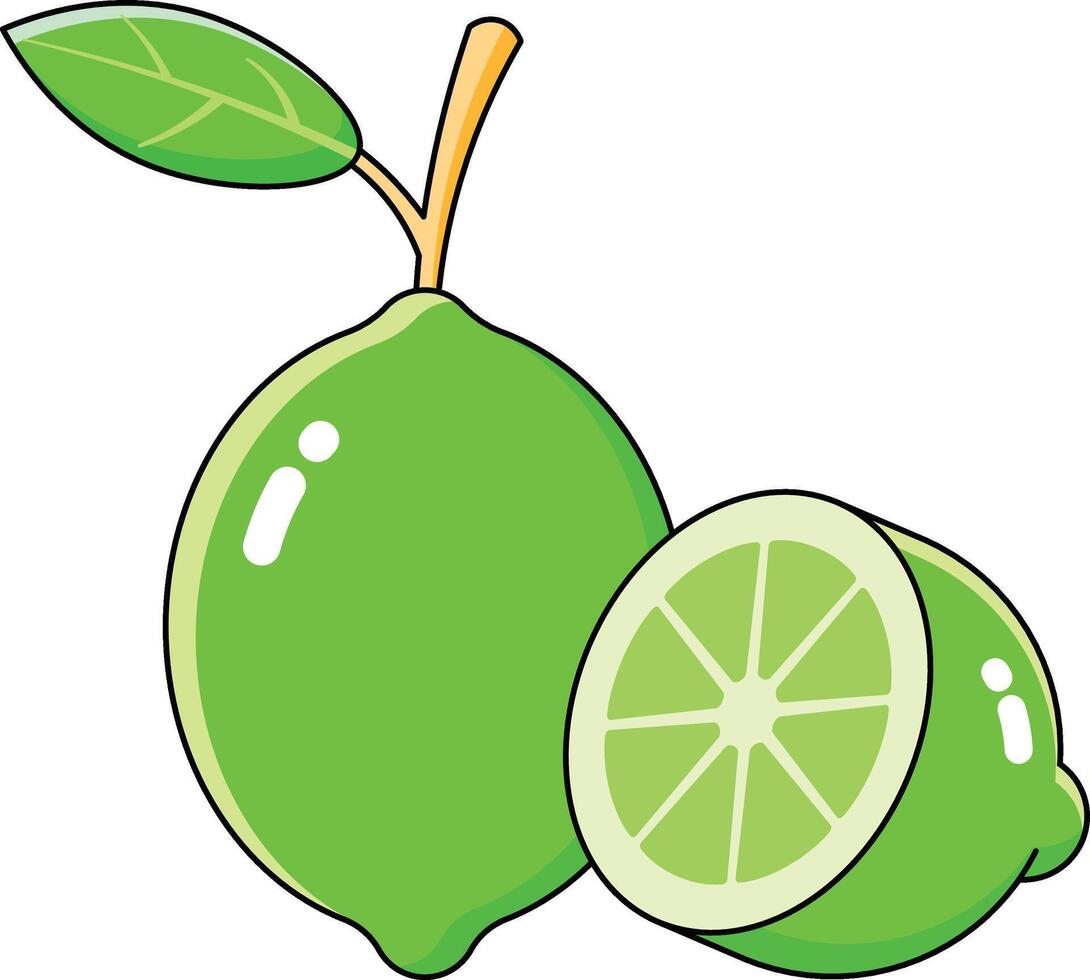 lime fruit vectors illustration