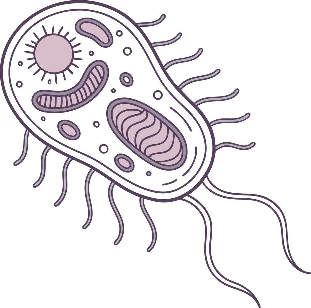 bacteria cell structure biology microbe microorganism science health germ outline drawing vector