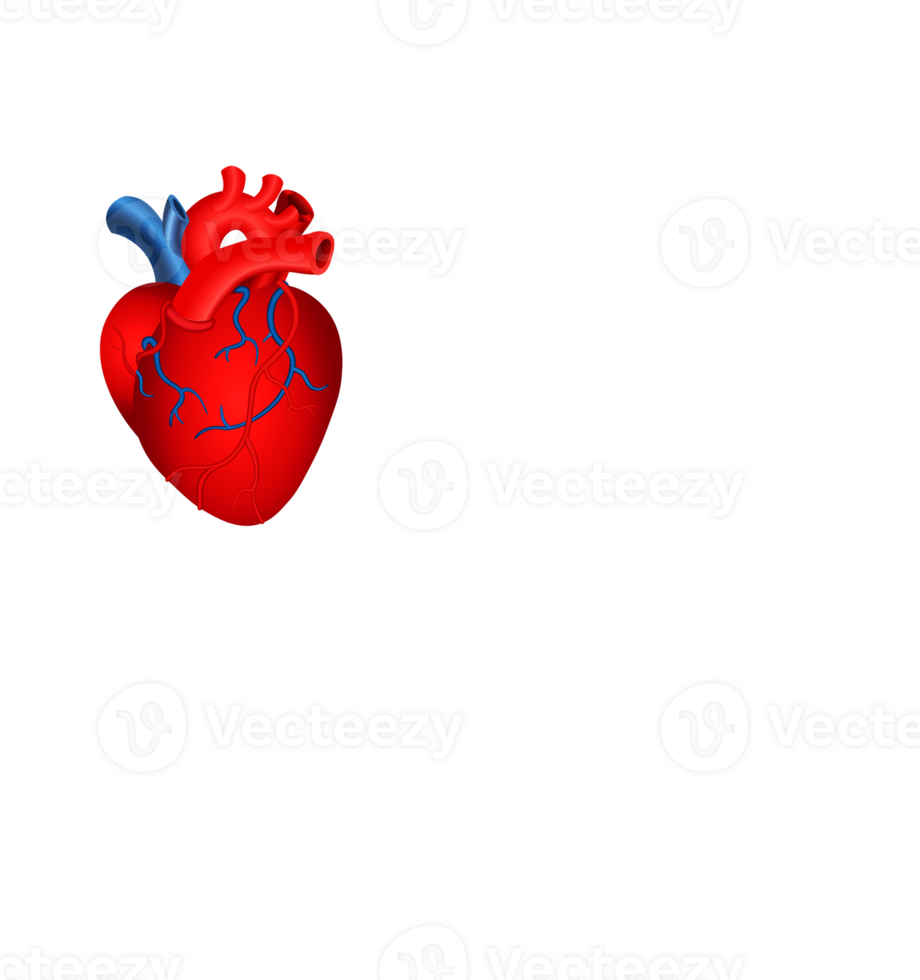 Red heart. Medical awareness poster. Copy space. png
