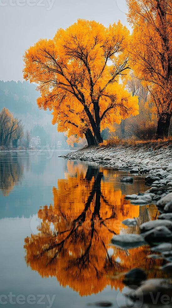 Autumn foliage reflects on calm river in serene landscape during early morning light photo