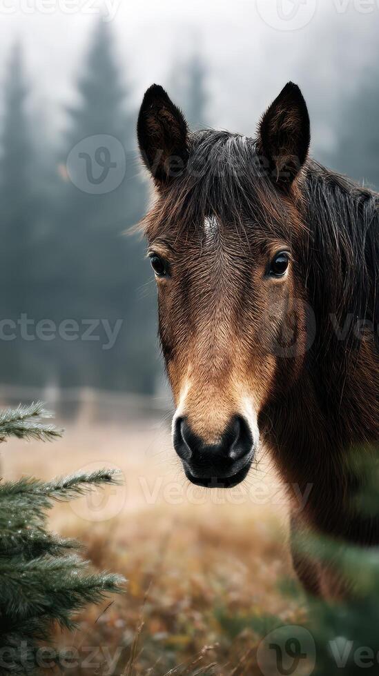 Horse stands in misty forest clearing surrounded by trees on a calm autumn morning photo
