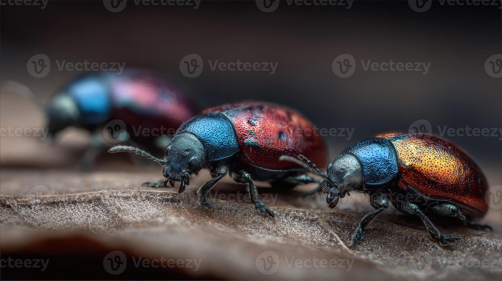 Colorful beetles crawling on a leaf in a natural habitat during daylight photo