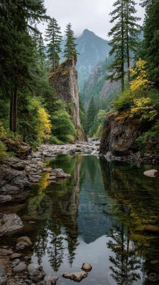 Scenic river surrounded by towering trees and rocky cliffs in a tranquil forest setting during autumn photo