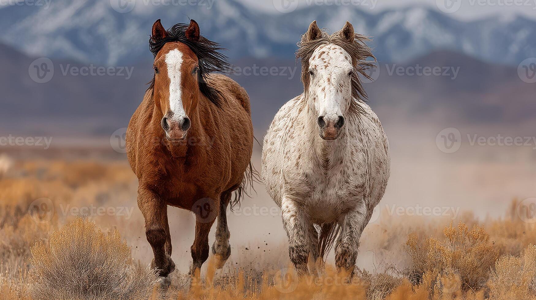 Two wild horses gallop through a desert landscape against a backdrop of mountains during a cloudy day photo