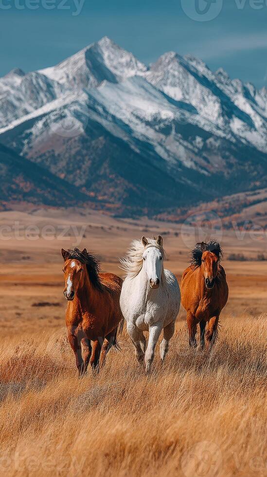 Horses running freely across a golden field with majestic mountains in the background during a sunny day photo