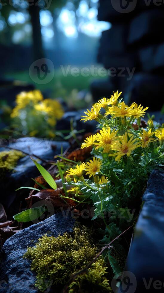 Wildflowers bloom among stones in a serene forest setting on a cloudy day photo