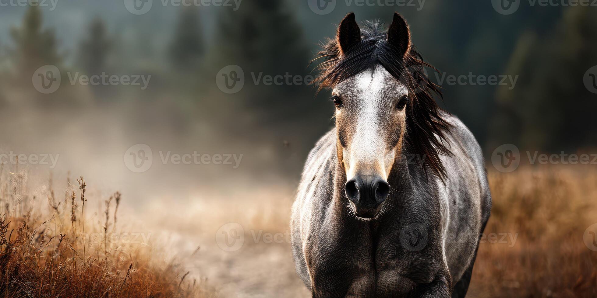 Majestic gray horse runs through a misty field at dawn in a serene countryside landscape photo