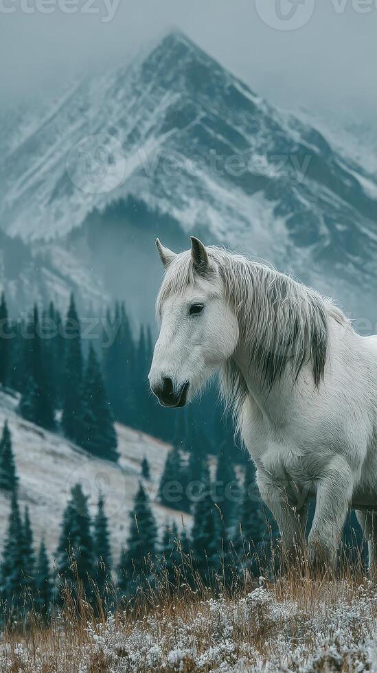 Majestic white horse stands on a snowy mountain meadow surrounded by towering peaks and evergreen trees photo