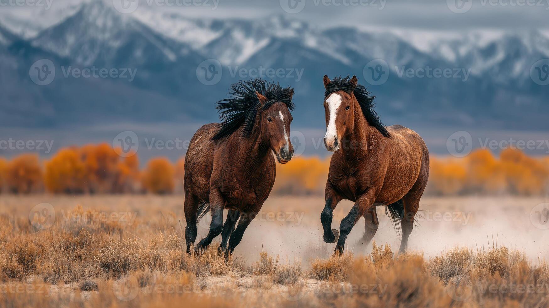 Two horses galloping across a field with mountains in the background on a cloudy day at sunset photo