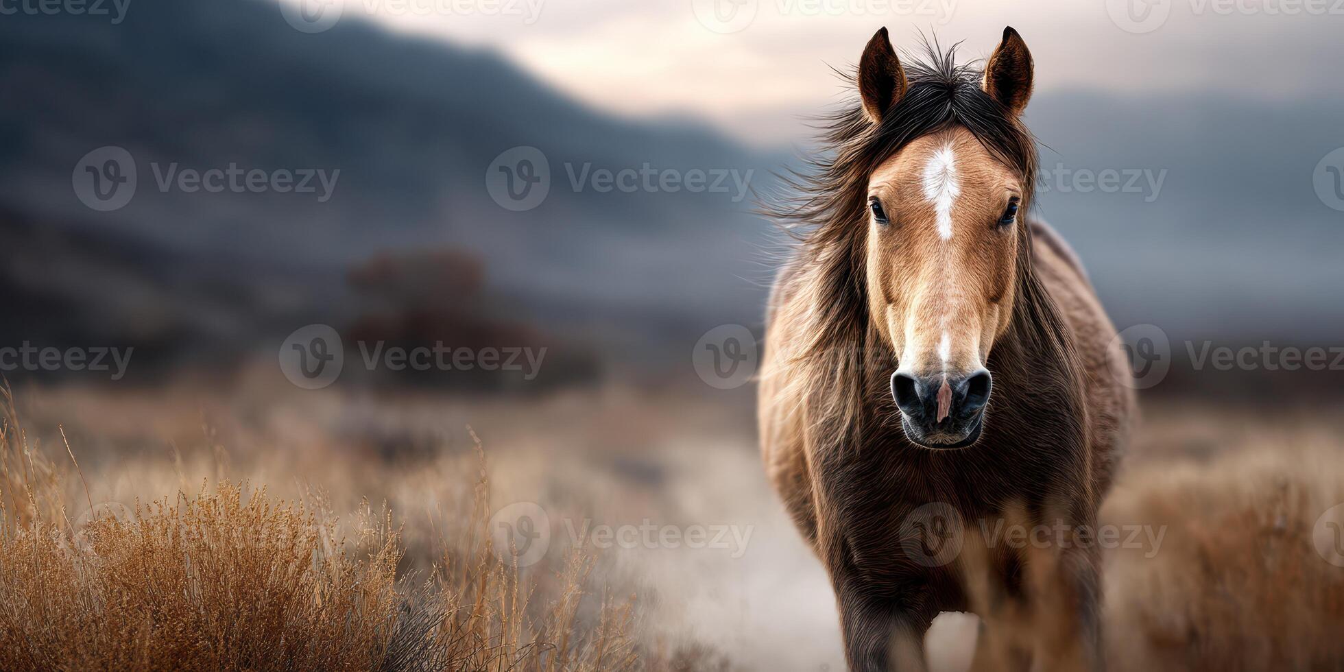 Majestic horse stands alone in a wide open landscape during a dramatic sunset in the mountains photo