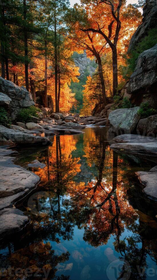 Autumn reflections in a tranquil river surrounded by colorful foliage in a remote forest photo